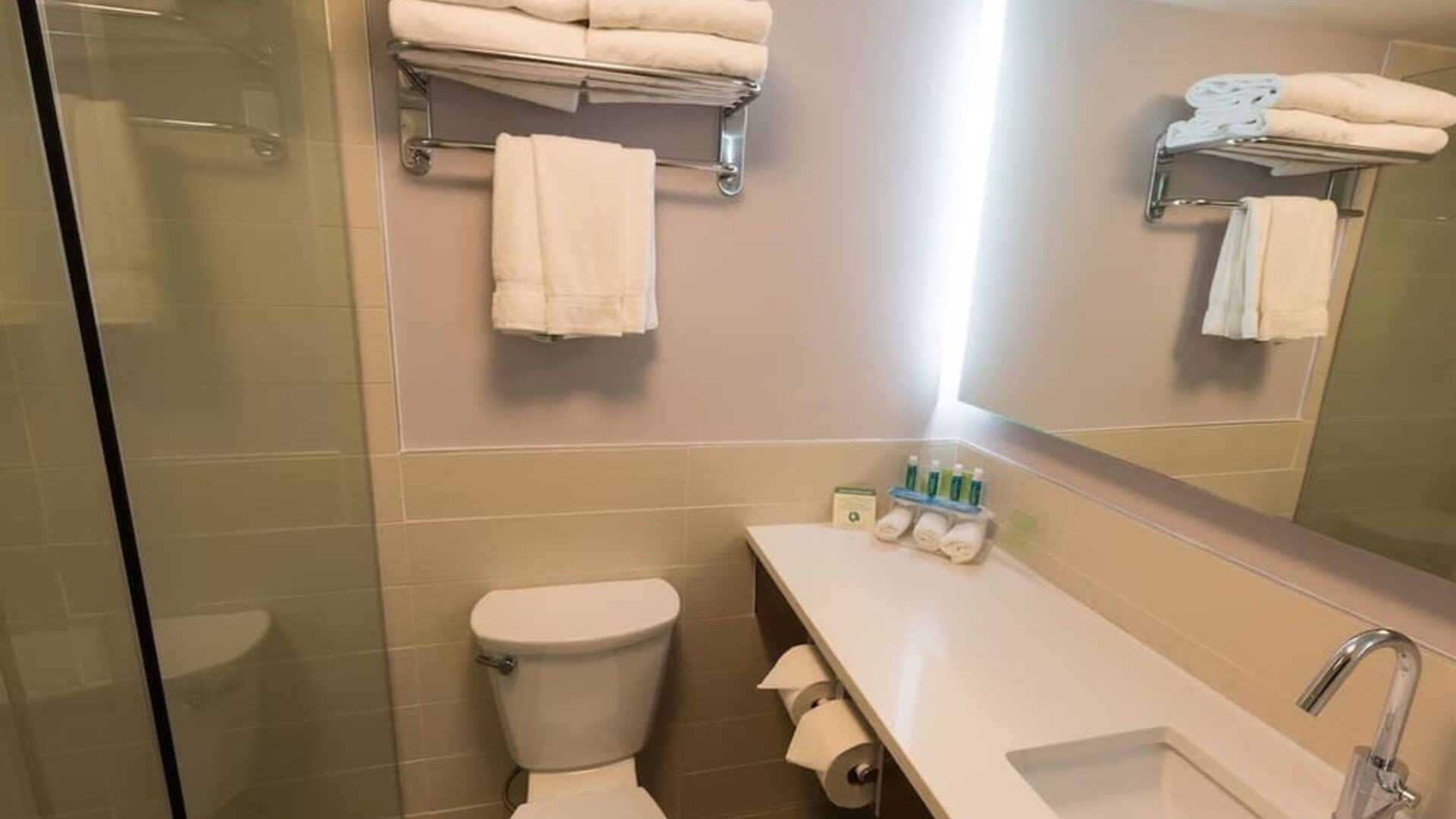 Guest bathroom with shower at Holiday Inn Express Edmonton Downtown.