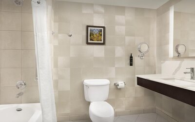 Virginia Crossings Hotel, Tapestry Collection by Hilton