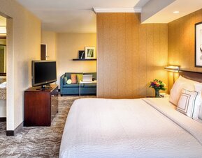 SpringHill Suites by Marriott Salt Lake City Downtown