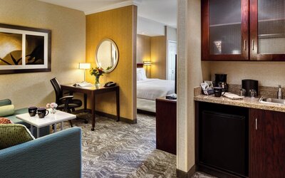SpringHill Suites by Marriott Salt Lake City Downtown