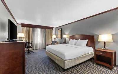 Room, 1 King Bed, Non Smoking