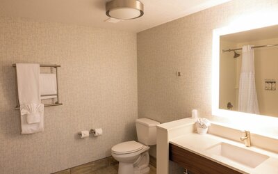 Holiday Inn Express Salt Lake City Downtown by IHG