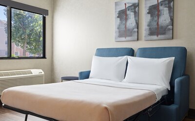 Room, 1 King Bed (Mobility Accessible, Tub)