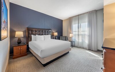Drury Plaza Hotel San Antonio North Stone Oak
