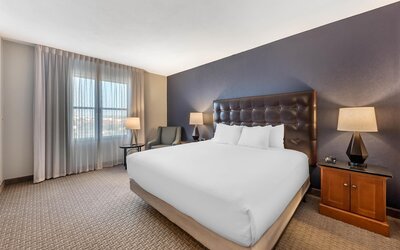Drury Plaza Hotel San Antonio North Stone Oak
