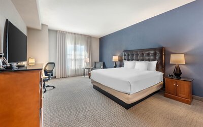 Drury Plaza Hotel San Antonio North Stone Oak