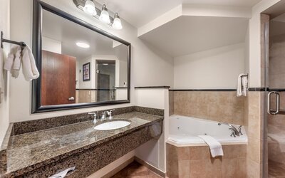 Drury Plaza Hotel San Antonio North Stone Oak
