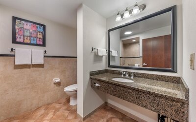 Drury Plaza Hotel San Antonio North Stone Oak