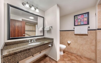 Drury Plaza Hotel San Antonio North Stone Oak