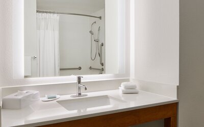 SpringHill Suites San Antonio Downtown/Riverwalk Area