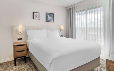 Suite, 1 Queen Bed with Sofa bed, Accessible (Mobility Tub One Bedroom)