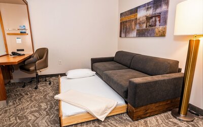 SpringHill Suites by Marriott San Antonio Alamo Plaza/Convention Center