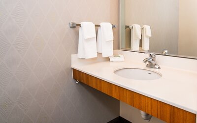 SpringHill Suites by Marriott San Antonio Alamo Plaza/Convention Center