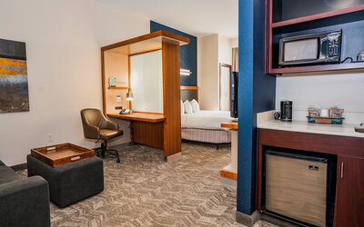 SpringHill Suites by Marriott San Antonio Alamo Plaza/Convention Center