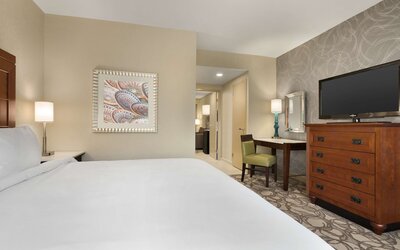 Embassy Suites by Hilton San Antonio Airport