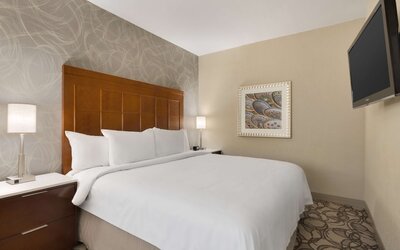 Embassy Suites by Hilton San Antonio Airport