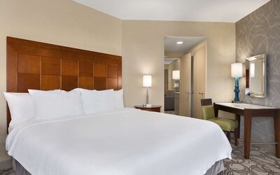 Embassy Suites by Hilton San Antonio Airport