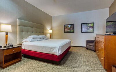 Drury Plaza Hotel San Antonio Riverwalk