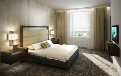 Embassy Suites by Hilton San Antonio Brooks Hotel & Spa