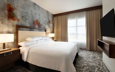Embassy Suites by Hilton San Antonio Brooks Hotel & Spa