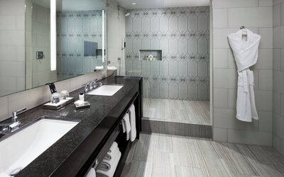 The St. Anthony, A Luxury Collection Hotel, San Antonio