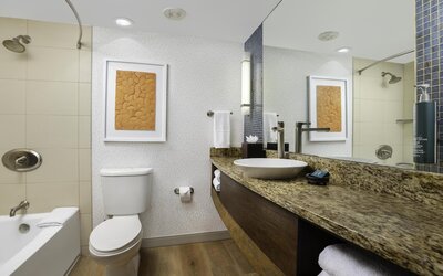Hilton Palacio Del Rio