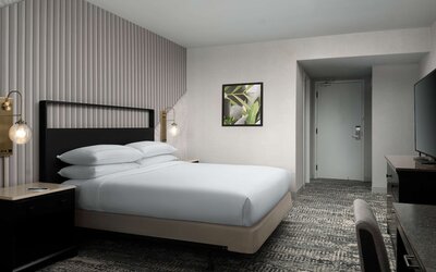 Hotel Fera Anaheim, a DoubleTree by Hilton