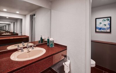 Hotel Fera Anaheim, a DoubleTree by Hilton