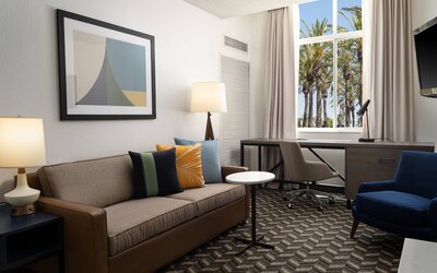 Residence Inn By Marriott Anaheim Resort Area