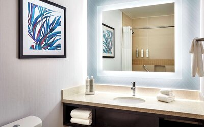 Hilton Garden Inn Valencia Six Flags