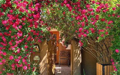 Inn on the Alameda