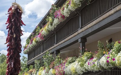 Inn of the Governors