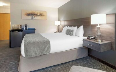 Best Western Plus City Center
