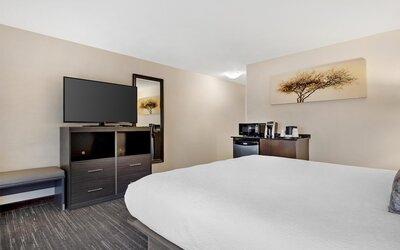 Best Western Plus City Center