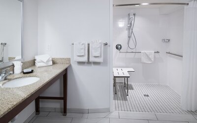 Hampton Inn St. Louis-Downtown (At the Gateway Arch)