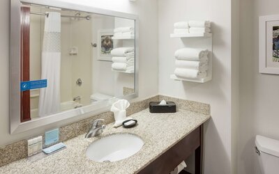 Hampton Inn St. Louis-Downtown (At the Gateway Arch)