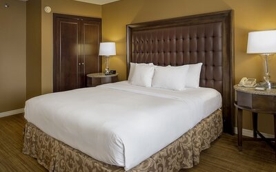 Hilton St. Louis Airport