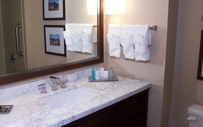 Hilton St. Louis Airport