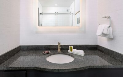 Hilton Pennywell St. Louis at the Arch