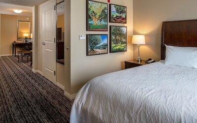 Hilton Garden Inn St. Louis Airport