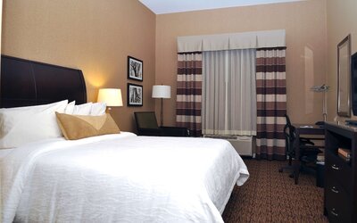 Hilton Garden Inn St. Louis Airport