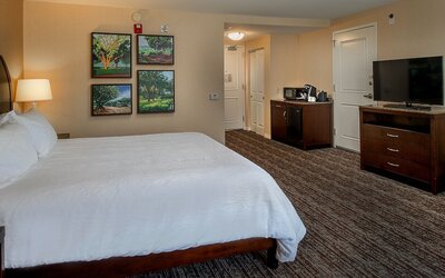 Hilton Garden Inn St. Louis Airport