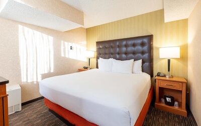 Drury Plaza Hotel St. Louis Union Station