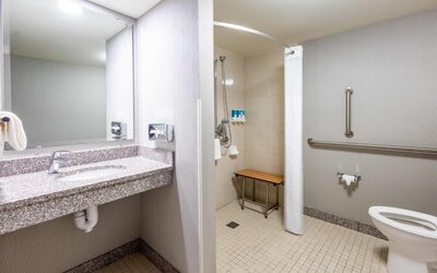 Drury Plaza Hotel St. Louis Union Station
