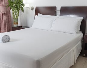 Hotel Plaza Las Américas