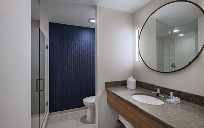 Fairfield Inn & Suites by Marriott St. Louis Downtown