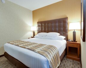 Drury Plaza Hotel St. Louis at the Arch