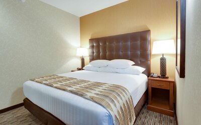 Drury Plaza Hotel St. Louis at the Arch