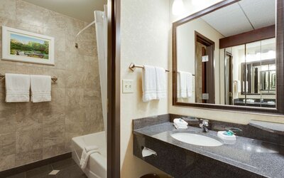 Drury Plaza Hotel St. Louis at the Arch