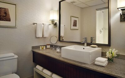 Hyatt Regency St. Louis at The Arch